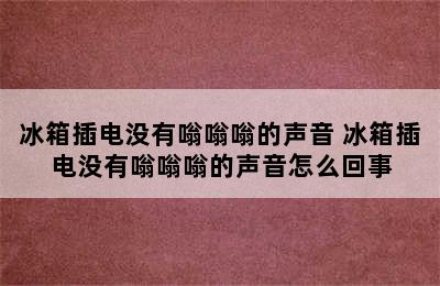 冰箱插电没有嗡嗡嗡的声音 冰箱插电没有嗡嗡嗡的声音怎么回事